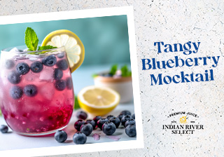 Tangy Lemon-Blueberry Mocktail